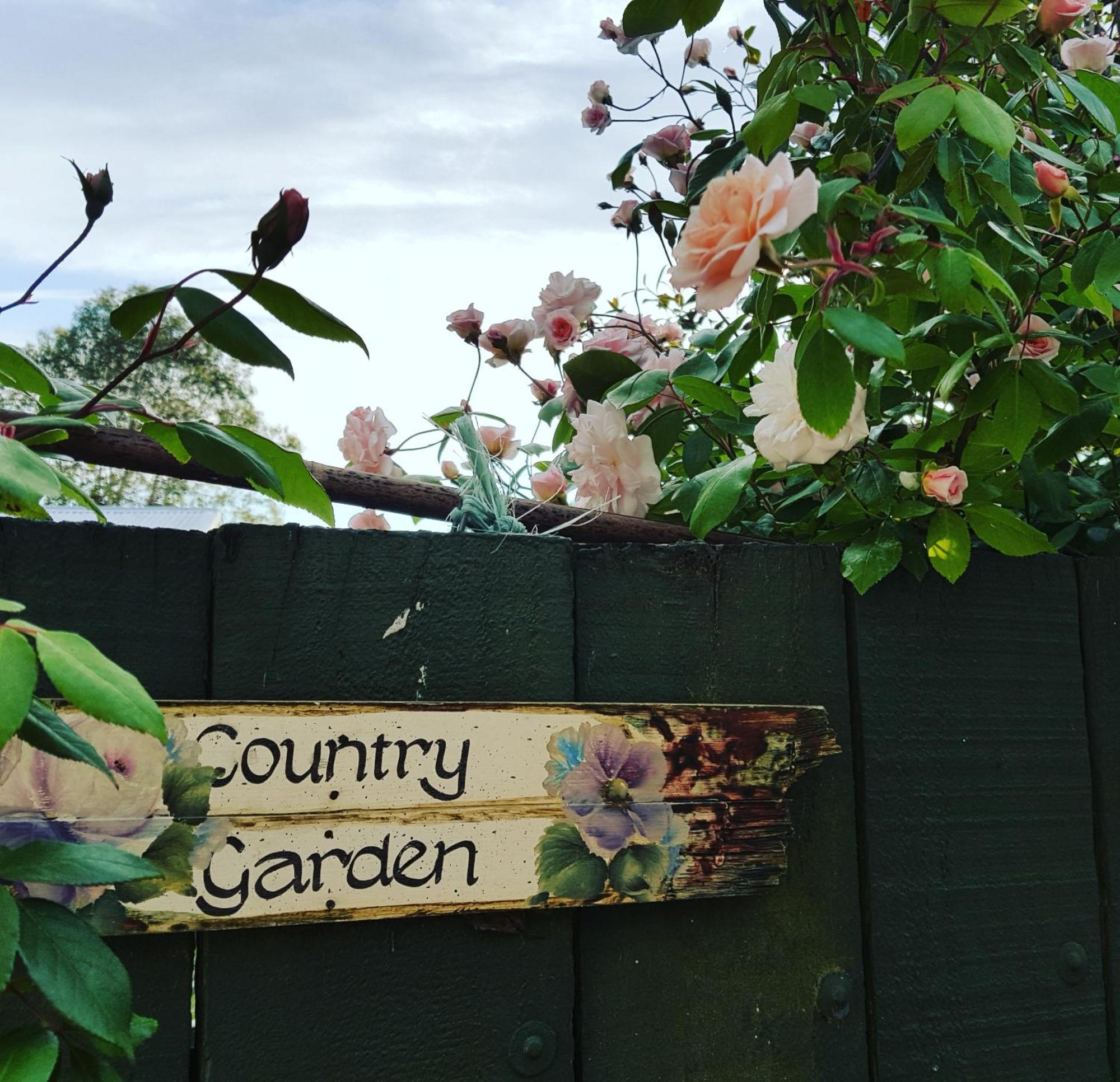 Dragonflycottagebnb Grovetown Exterior photo