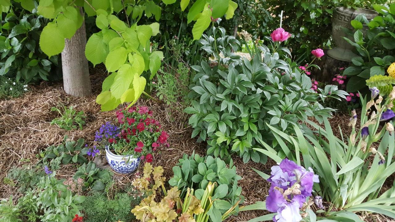 Dragonflycottagebnb Grovetown Exterior photo